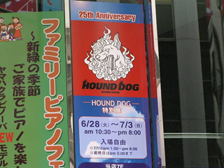 HOUND DOGW