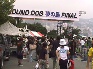 HOUND DOG