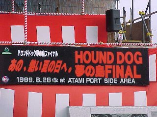 HOUND DOG